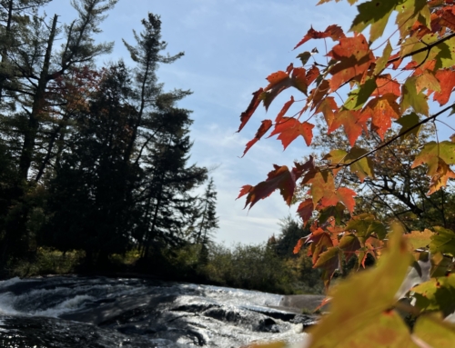 9 Places to View Fall Foliage in Long Lake, NY